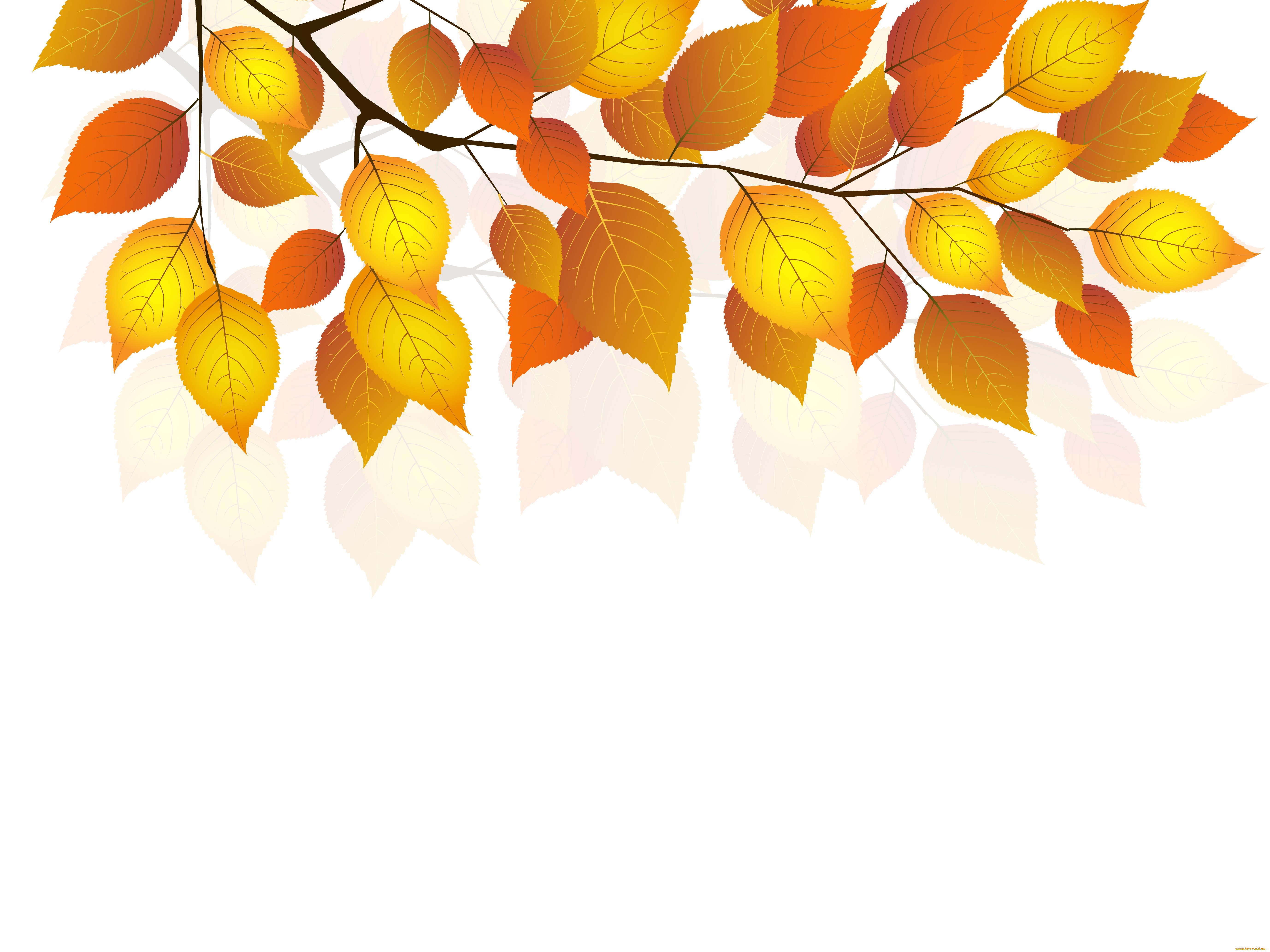  , , twigs, , , , , , autumn, white, background, leaves